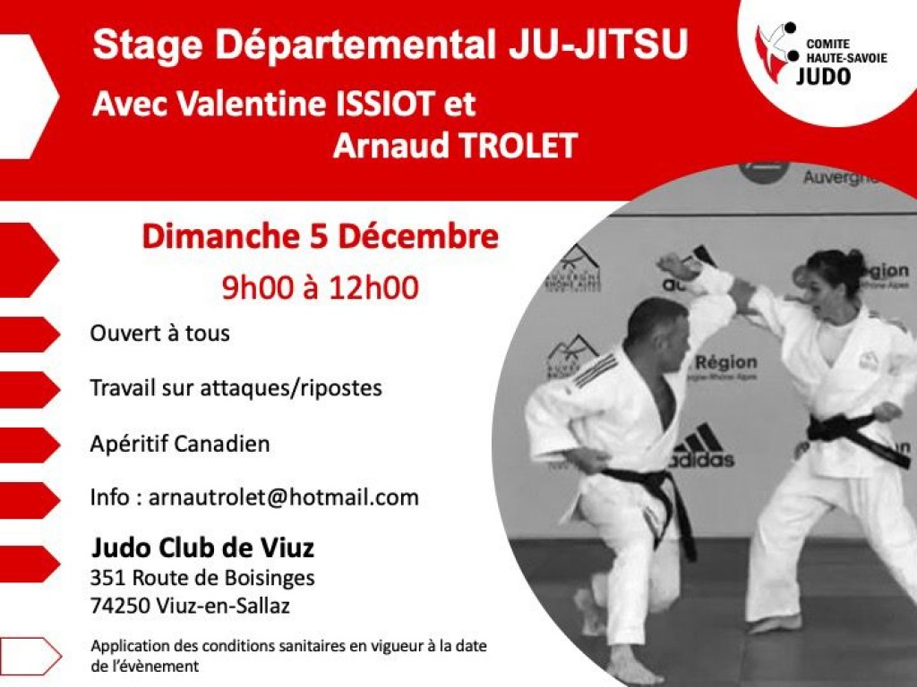 Image de l'actu 'Stage jujitsu Haute Savoie'